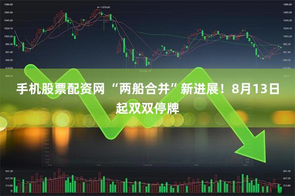 手机股票配资网 “两船合并”新进展！8月13日起双双停牌