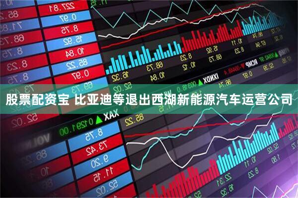 股票配资宝 比亚迪等退出西湖新能源汽车运营公司
